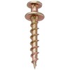Hangman Products BCK-10 Double Headed Bear Claw Hanger (10/ Pack),