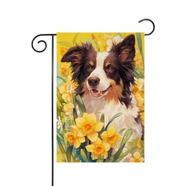 HILILIAN Border Collie Yellow Daffodil Spring Summer Garden Flag 12x18 Double Sided Vertical, Burlap Small Daffodil Floral Flower Garden Yard House Flags Outside Outdoor(849)