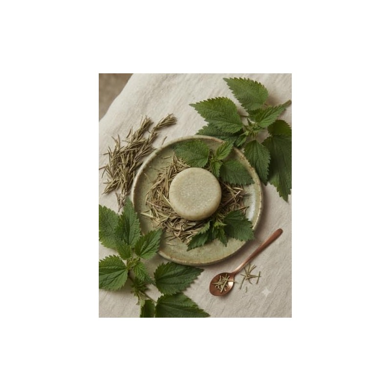 Shampoo Sólido Anticaída Aroma Coco Nogal Cacahuananche Vegano Sulfatos Parabenos