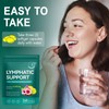 Lymphatic Drainage Supplements-Echinacea, Dandelion, Burdock Root|21-In-1 Botanical Complex for Lymph