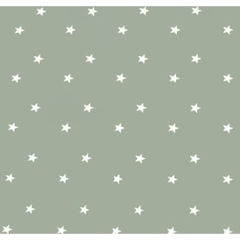 Home Direct Rectangular Oilcloth PVC Wipe Clean Tablecloth Table Cover 140cm x 180cm 55x70 Stars Sage Green