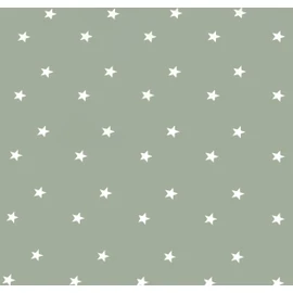 Home Direct Rectangular Oilcloth PVC Wipe Clean Tablecloth Table Cover 140cm x 180cm 55x70 Stars Sage Green