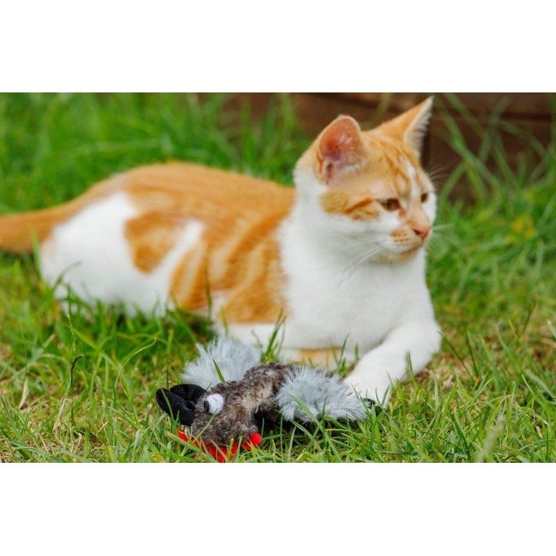 Petface Refillable Catnip Plush Cockerel Cat Toy