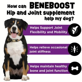 Dinovite BeneBoost Hip & Joint Liquid Topper for Dogs, Dog Joint Supplement with Glucosamine, Chondroitin, MSM & Hyaluronic Acid, Dog Mobility Support, Bacon Flavor, 6 fl oz