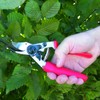Felco F-12 Pruning Shears – 7.9" Garden Clippers with Anvil