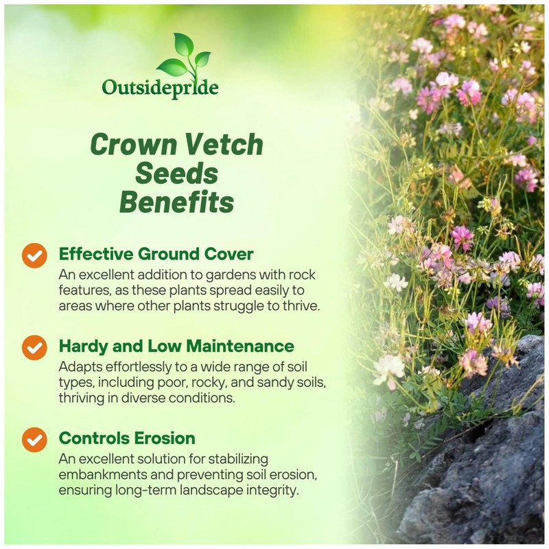 Outsidepride Perennial Crown Vetch Seeds - 2 lb. Drought-Tolerant, Fast-Growing