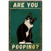 Black Cat Wall Decor Are You Pooping Sign Funny Metal
