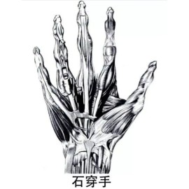 Shen Martial Arts Stone Penetrating Fingers Dit Da Jow Training & Healing Liniment - 4 oz bottle