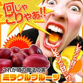 Miracle Fruit (5 Pack) , , ,