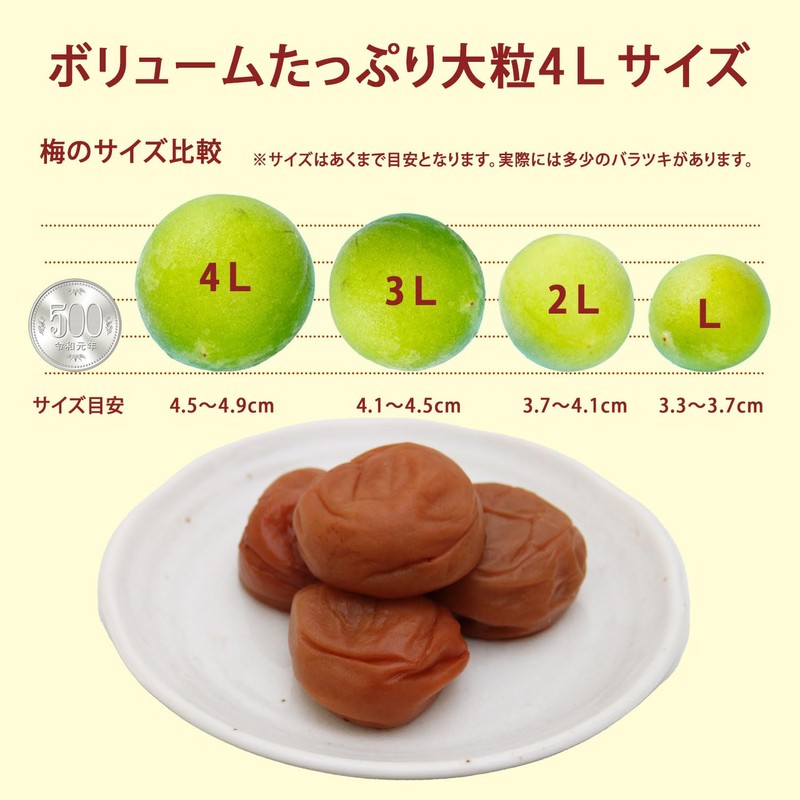 和歌山県産 紀州南高梅 塩分20％ 昔ながらの すっぱい しょっぱい 梅干し 無添加 うす皮 4Lサイズ