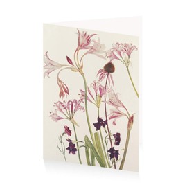 Royal Academy Elizabeth Blackadder Floral Set of 6 Art Greeting Cards (12 x 17 cm)