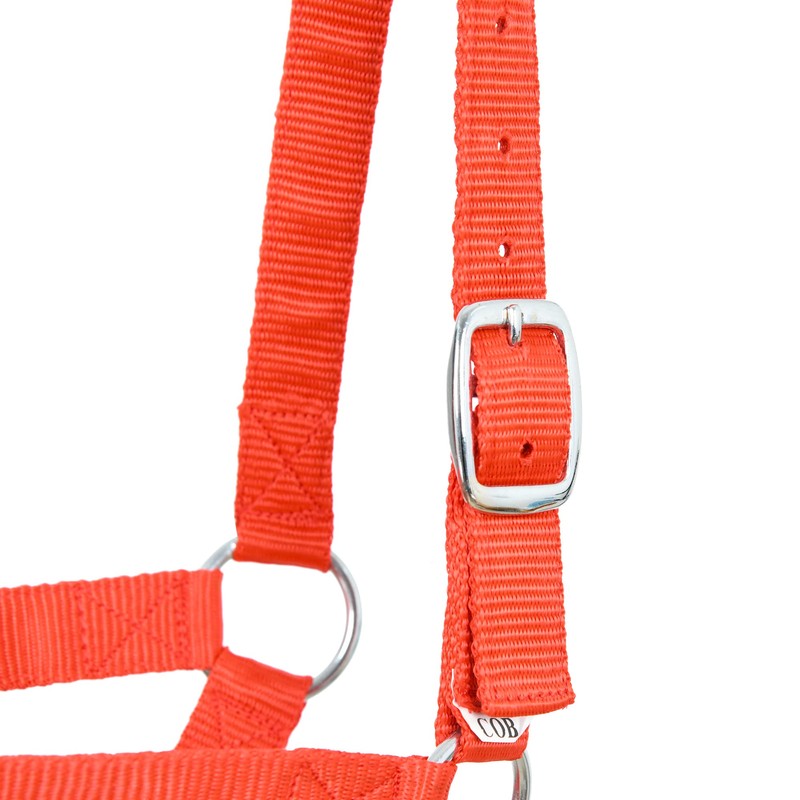 SIE Cattle livestock Cow Halters (Pony, Red)