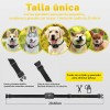 Collar Eléctrico Para De Adiestramiento Perros Color Negro