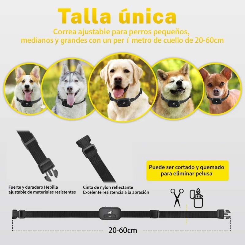 Collar Eléctrico Para De Adiestramiento Perros Color Negro