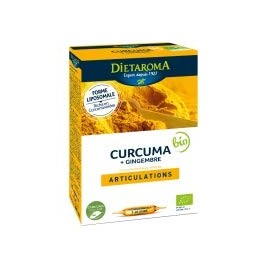 Organic Curcuma Ginger - 20 Bulbs Dietaroma