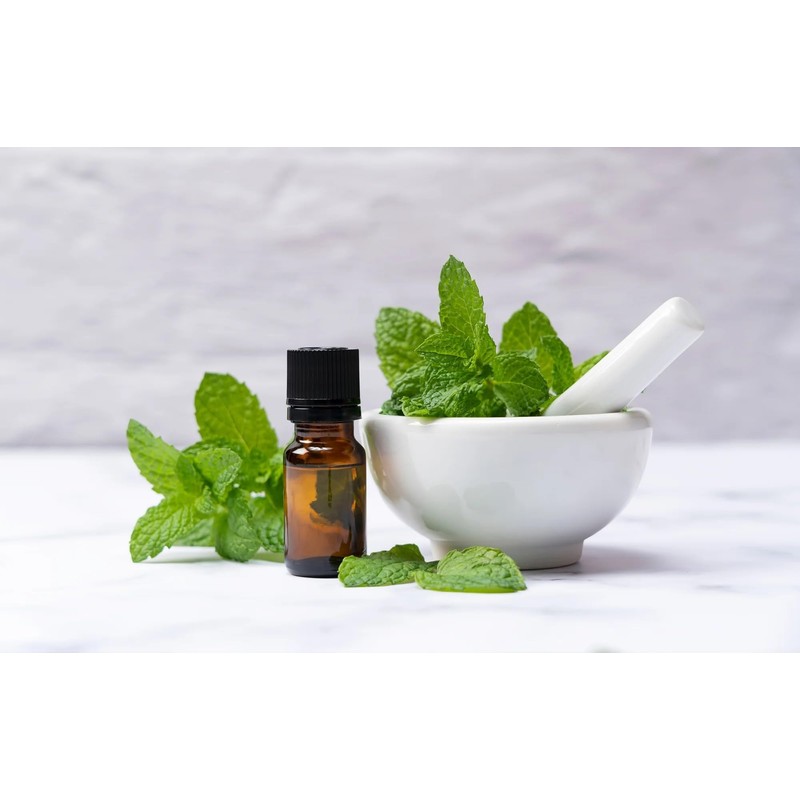 Organic Peppermint Tallow Soap, 60g