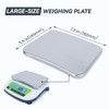 U.S. Solid Precision Balance, 5000g/11lb x 0.01g Analytical Digital Lab