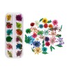 YFFSFDC Nail Pressed Flowers Dried Flowers for Nail Art Resin