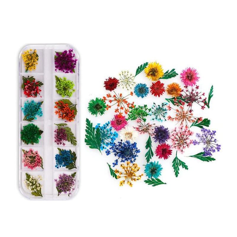 YFFSFDC Nail Pressed Flowers Dried Flowers for Nail Art Resin