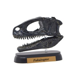 73510 Dinosaur hukuiraputoru Skull Mini Model (FDW – 510)