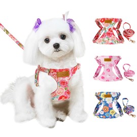 Lukovee Puppy Harness and Leash Set, No Pull Lightweight Pet Harness Vest for Puppy Small and Medium Size Dog, Adjustable Soft Suede Dog Leash Set (Pink Rose, XXS)