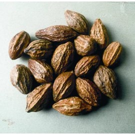 Indian hog plum, Harde or Harad, Haritaki, Terminalia chebula whole 200g