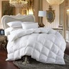 Premium All-Season Twin Size Luxury Siberian Goose Down Comforter Duvet