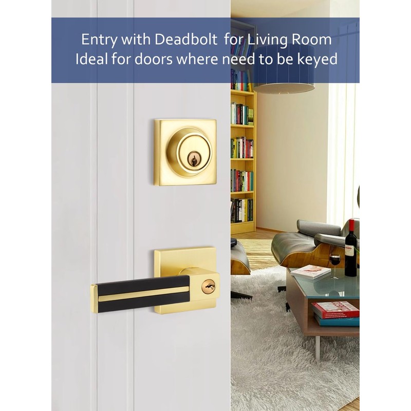 Gold Door Handle 1 Pcs, Privacy Door Levers with Black