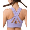 Luvrobes Sports Bras for Women High Support Molded Cup Criss