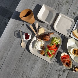 ABENA Gastro-Line 16cm Wooden Disposable Spoons, The Eco-Friendly Wooden Cutlery Choice for your Disposable Cutlery, 100% Compostable Birchwood from Certified Ethical Forests (Pack of 100)