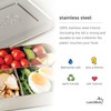LunchBots Large Trio Stainless Steel Lunch Container -Three Section Design
