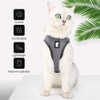 Evel Cat Harness and Leash, Ultra-Light, Escape-Proof, Adjustable, Soft Mesh