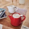 FORLIFE Stump Teapot with SLS Lid and Infuser, 18-Ounce, White