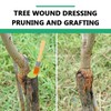 Tree Wound Pruning Sealer, Tree Wound Dressing with Brush, Tree