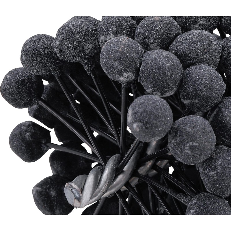 BGS 1267 | Honing Tool | Silicon Carbide Grit 180