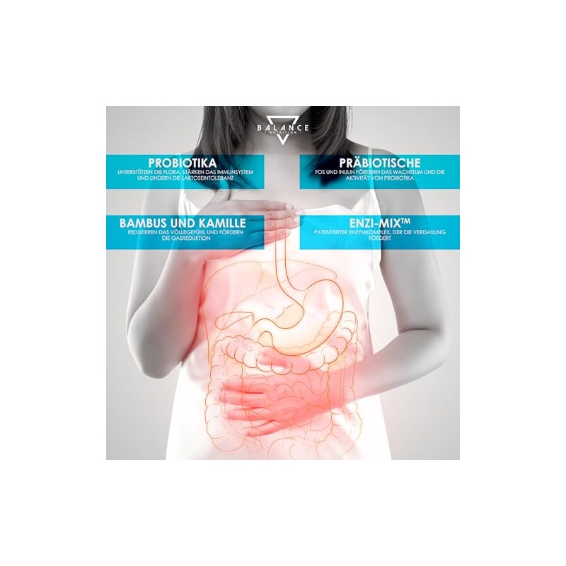 Probiotics and prebiotics - 240 capsules | Probiotic capsules |