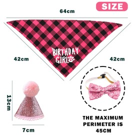 Birthday Set for Dogs, Hat, Bowknot, Butterfly Flag, Scarf, Number Stickers, Party Set Cute for Dogs and Cats, Reusable, Small and Medium Dogs (Pink)