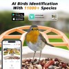 Tecdigbo Smart Bird Feeder with Camera, Bird Watching Camera,1080P,2