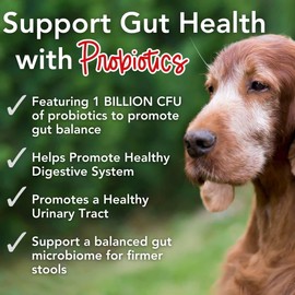 iHeartDogs 24-in-1 Senior Multivitamin Daily+ Total Health Support Powder with Probiotics, Omega-3, Glucosamine, Mushrooms & Bone Broth- 60 Servings