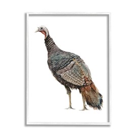 Stupell Industries Wild Turkey Bird Watercolor Painting Kids' Nursery Animal White Framed Wall Art, 24 x 30, Brown