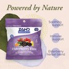 ZAND HerbaLozenge Elderberry Zinc, Good-for-You Lozenges for Dry Throats, No