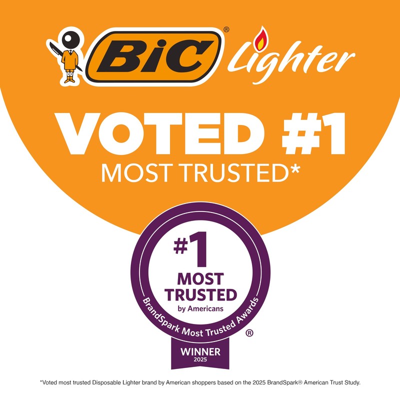 BIC EZ Reach Lighters, Extended Wand, Home Decor Designs, 6-Pack