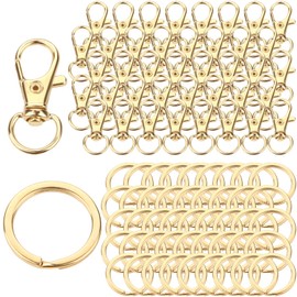 Key Ring Stainless Steel Small 80 Pieces Carabiner Key Ring Craft DIY Rings Carabiner Hook with Swivel Joint (Golden)