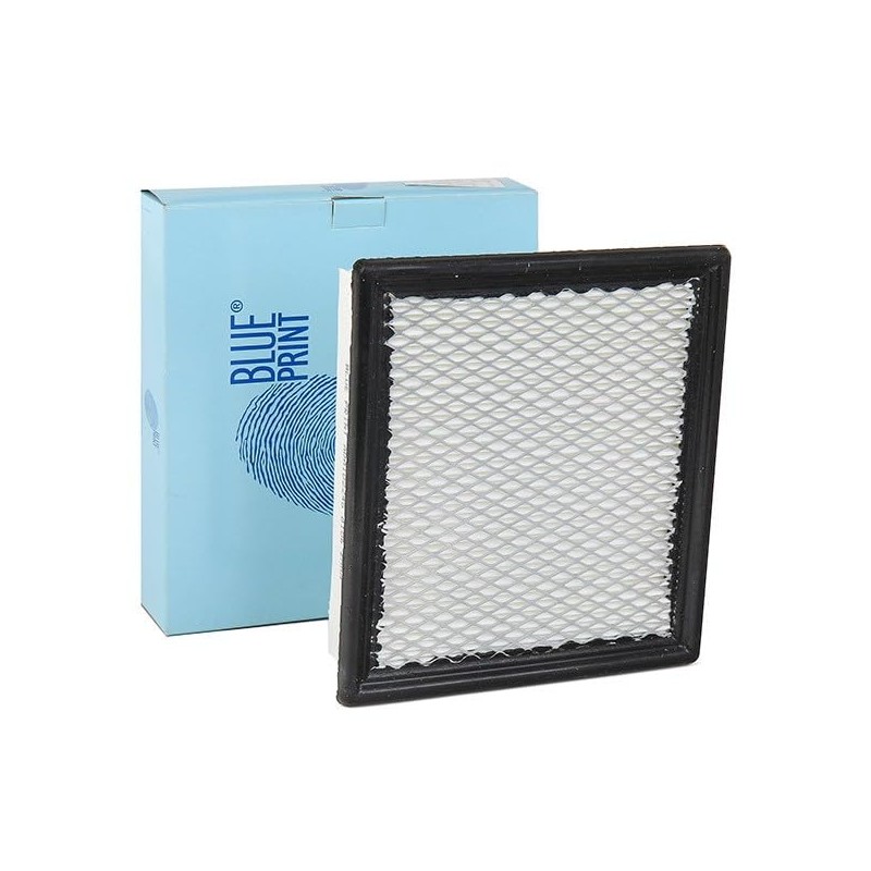 Blue Print ADA102246 Air Filter, Pack of 1