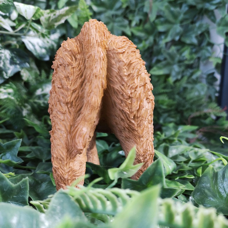 Vivid Arts - Highland Cattle Calf - PP-HLCF-F