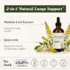 Sandhu's Mullein Drops for Lungs | Mullein Leaf Extract Supplement