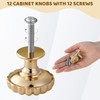 Tearmier 12 Pack Gold Drawer Knobs, Pumpkin Shaped Solid Cabinet