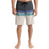 Quiksilver Men's Surfsilk Straight Leg 20 Board Shorts (Pack of