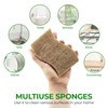 AIRNEX Natural Kitchen Sponge - Biodegradable Compostable Cellulose and Coconut
