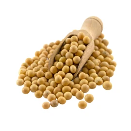 Sussex Wholefoods Organic SOYA Beans 500g
